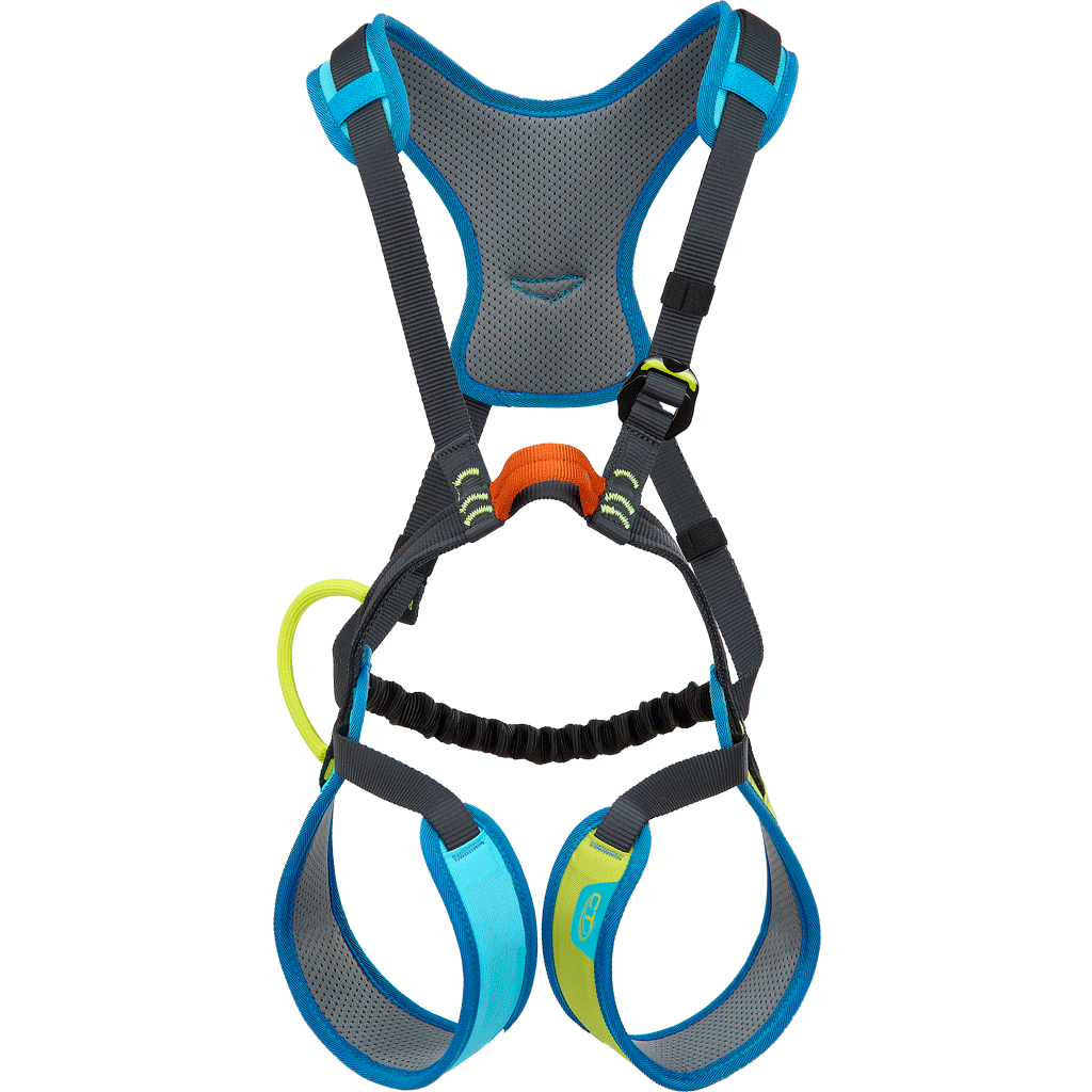 What is a Full Body Harness?